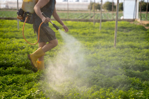 Best Affordable Pest Control Services  in Sinton, TX