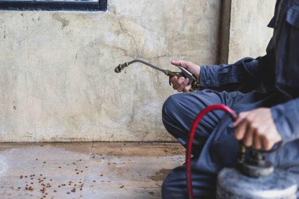 Best Pest Control for Businesses  in Sinton, TX